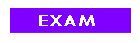 EXAM-������