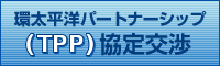 �����m�p�[�g�i�[�V�b�v�iTPP�j�������